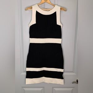 White House Black Market Colorblock Knit Sheath Dress in Size 6